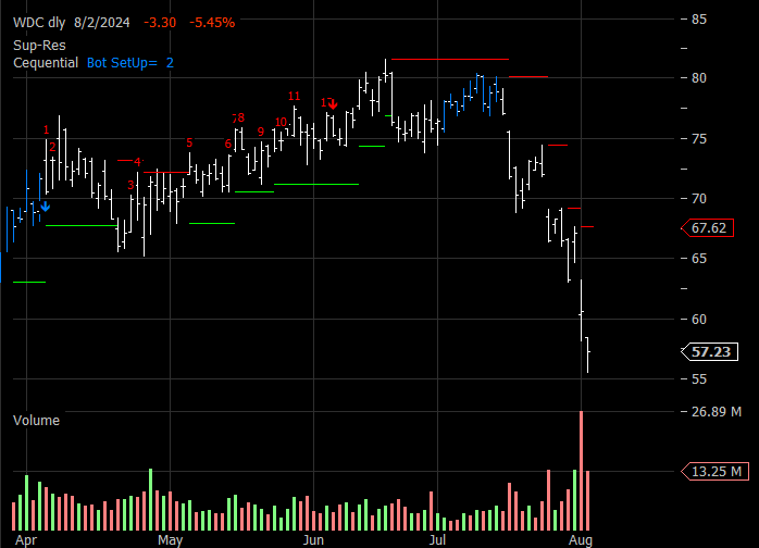 WDC Daily 9-13-9
          Chart